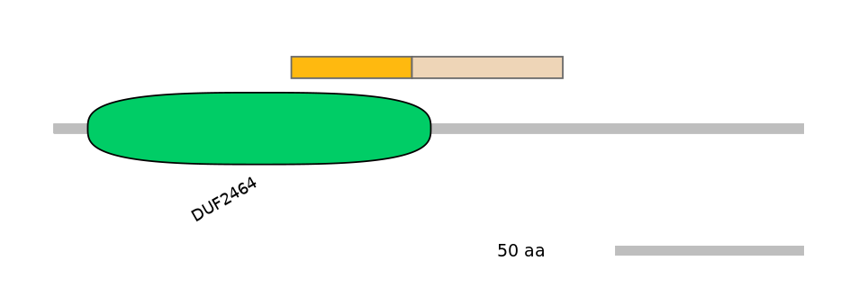 HsaEX0023902-EXC