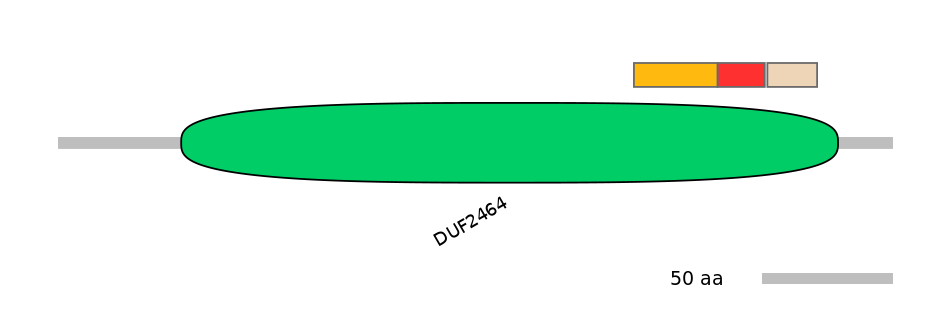 HsaEX0023905-INC