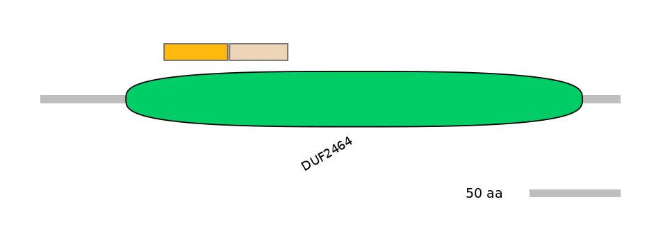 HsaEX0023907-EXC