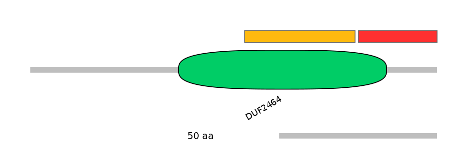 HsaEX0023907-INC