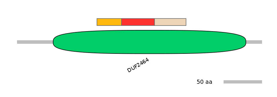 HsaEX0023910-INC