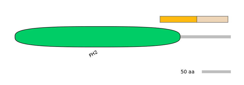 HsaEX0025779-EXC
