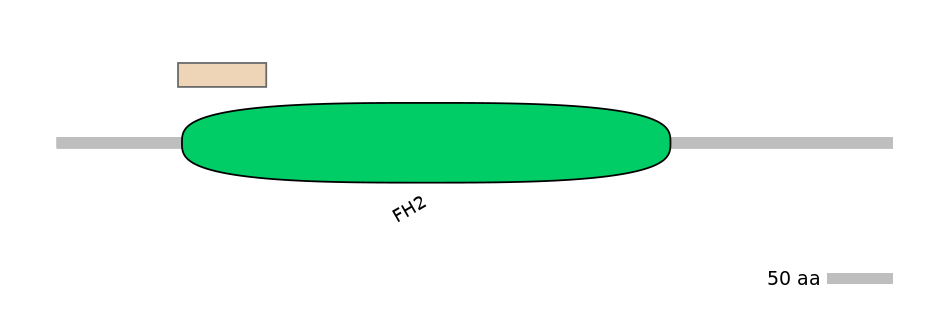 HsaEX0025783-EXC