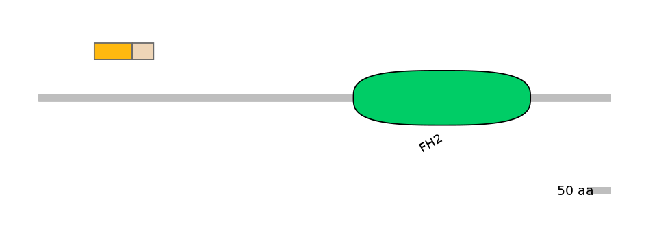 HsaEX0025787-EXC