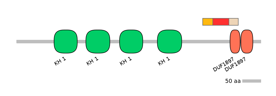 HsaEX0026560-INC
