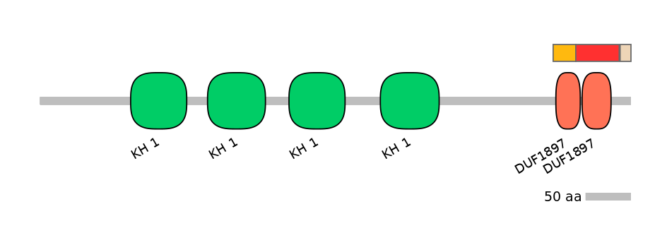 HsaEX0026561-INC