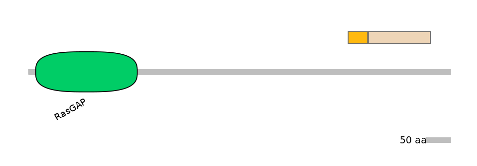 HsaEX0027021-EXC
