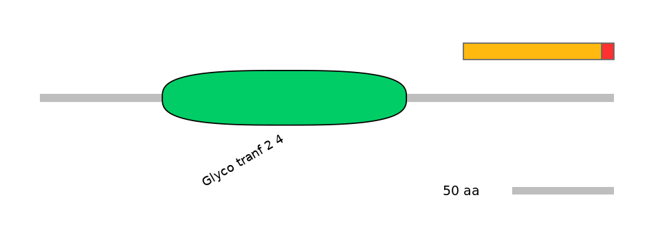 HsaEX0027705-INC