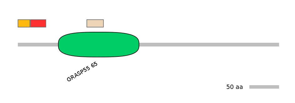 HsaEX0028057-INC