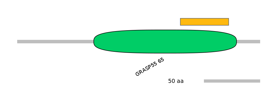 HsaEX0028060-EXC