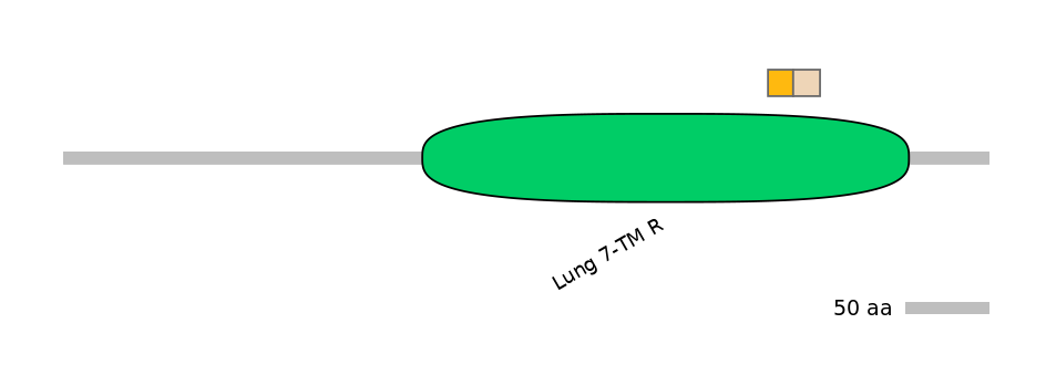 HsaEX0028231-EXC