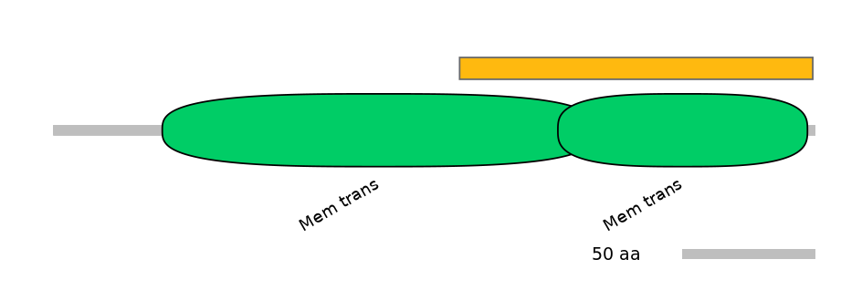 HsaEX0028338-EXC