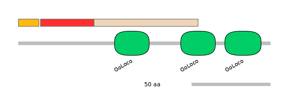 HsaEX0028478-INC