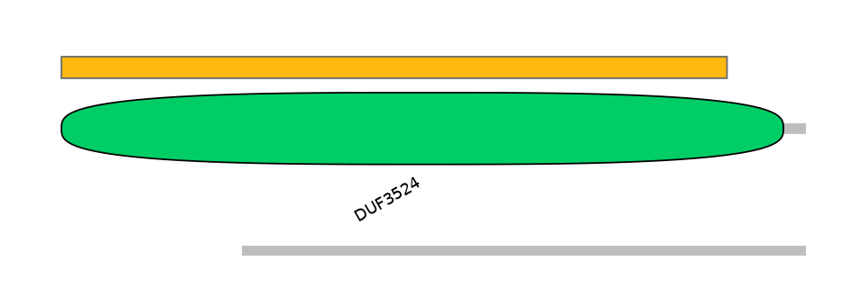 HsaEX0028906-EXC