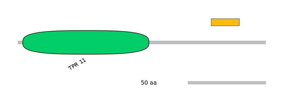 HsaEX0029680-EXC