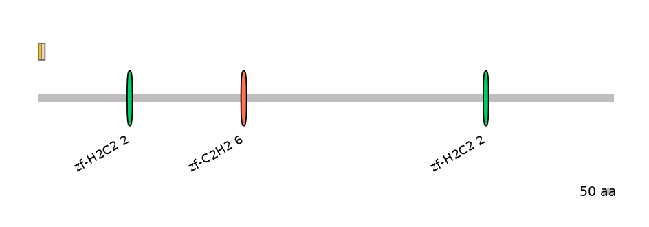 HsaEX0030053-EXC