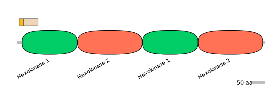 HsaEX0030075-EXC