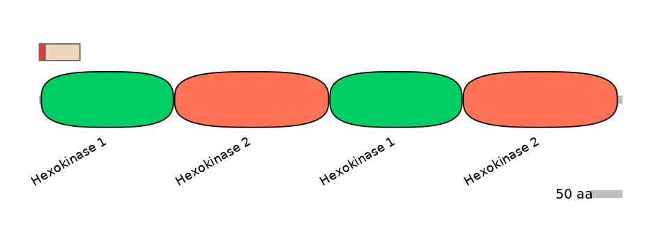 HsaEX0030075-INC