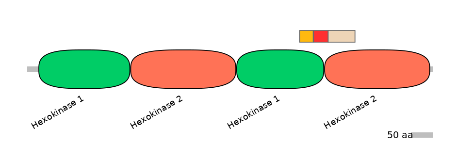 HsaEX0030079-INC