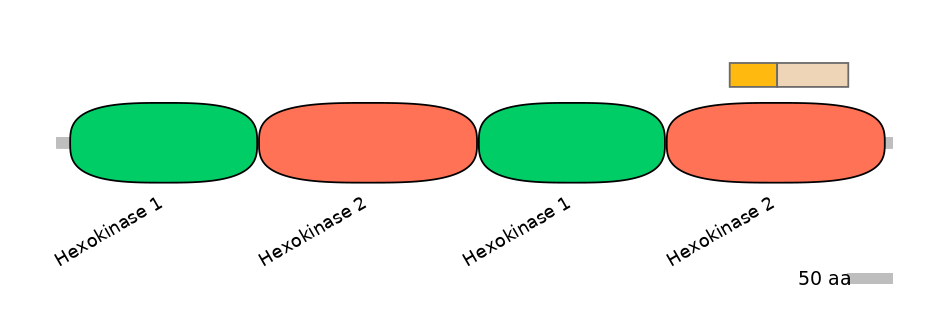 HsaEX0030083-EXC
