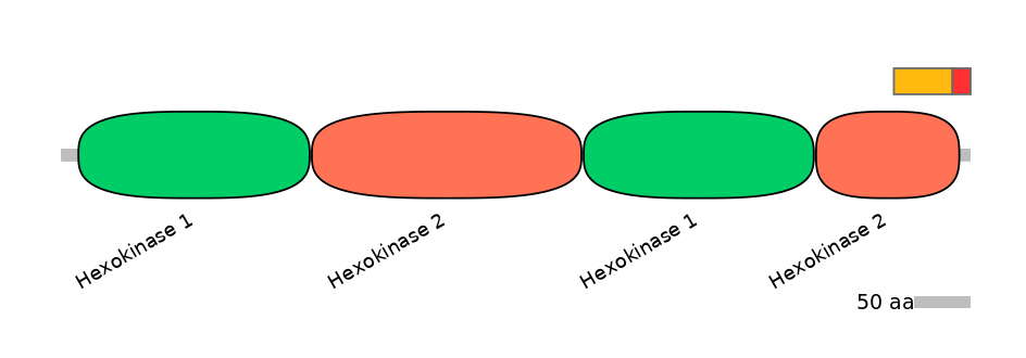 HsaEX0030083-INC