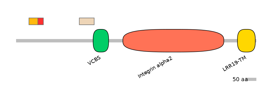 HsaEX0032365-INC