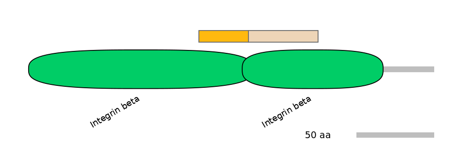 HsaEX0032475-EXC