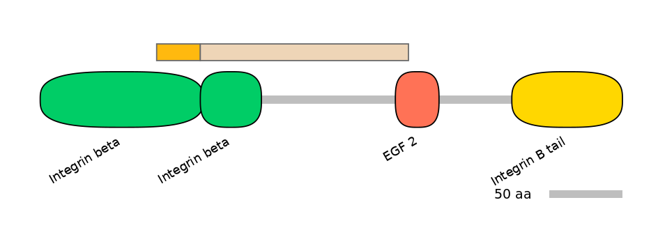 HsaEX0032476-EXC