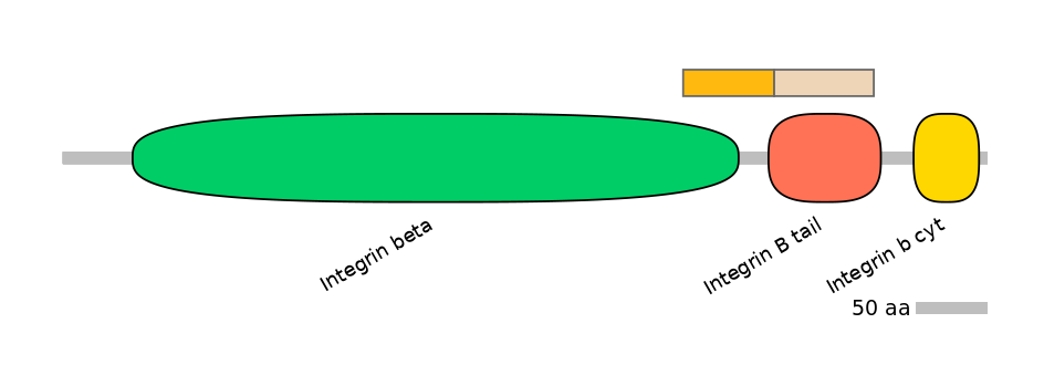HsaEX0032484-EXC