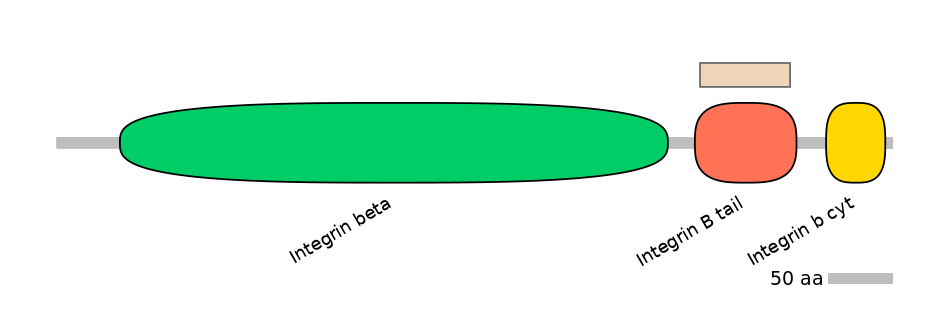 HsaEX0032485-EXC