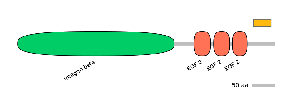 HsaEX0032489-EXC