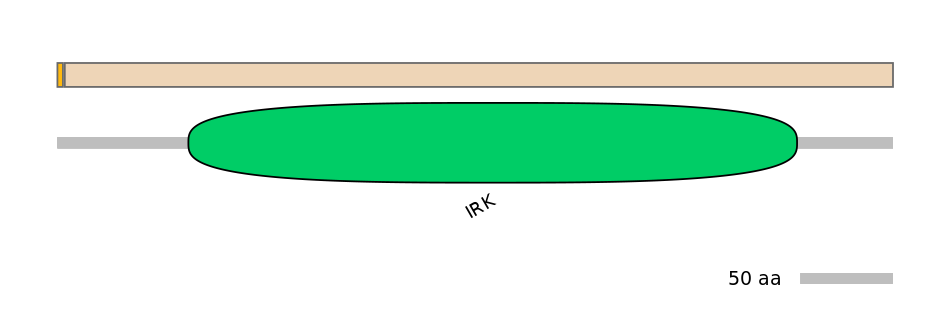 HsaEX0033019-EXC