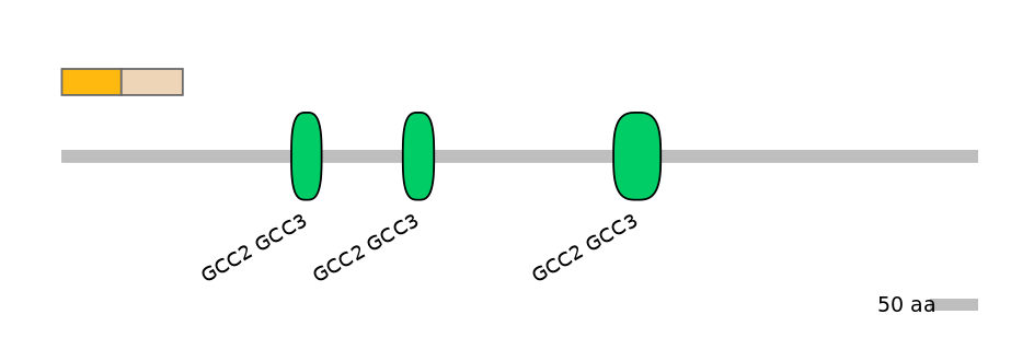 HsaEX0034027-EXC