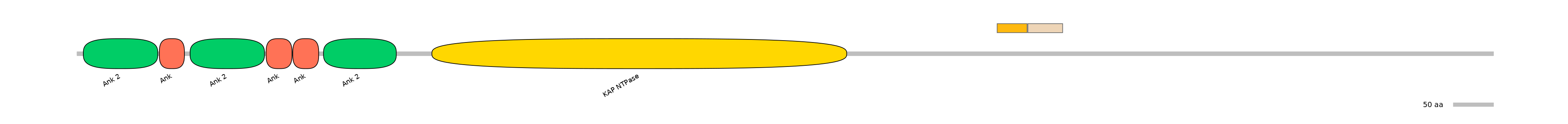 HsaEX0034355-EXC