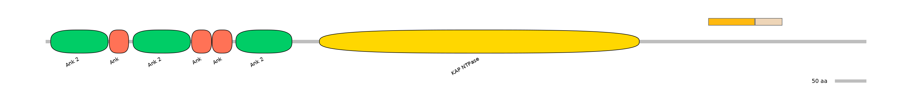 HsaEX0034363-EXC