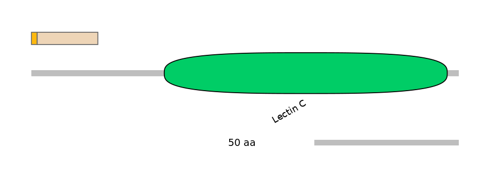 HsaEX0034919-EXC