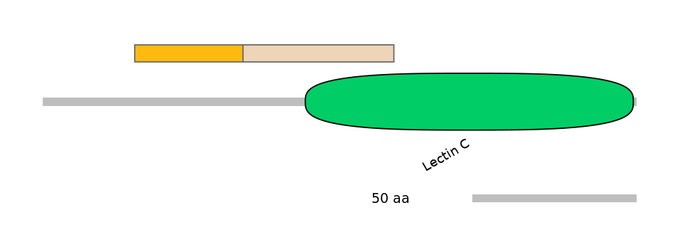 HsaEX0034921-EXC