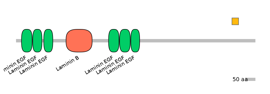 HsaEX0035303-EXC