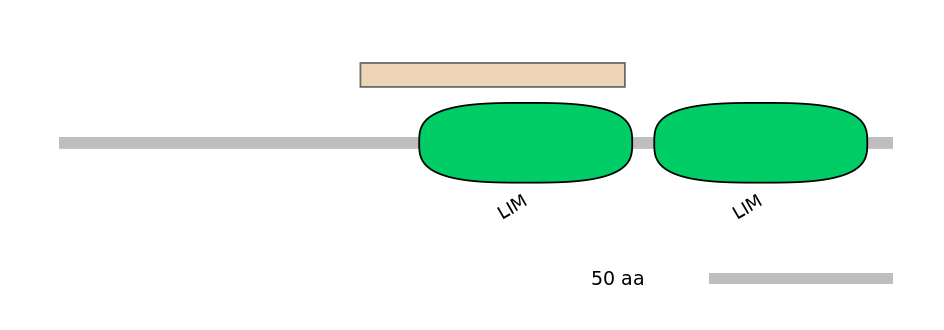 HsaEX0036057-EXC