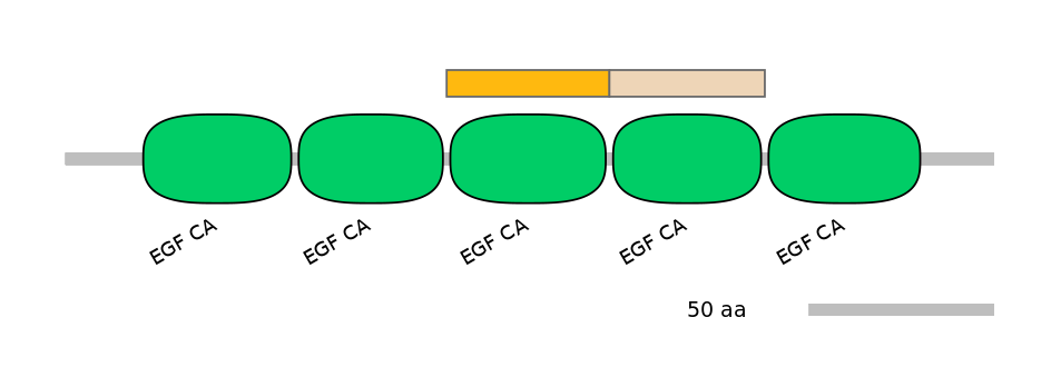 HsaEX0036951-EXC