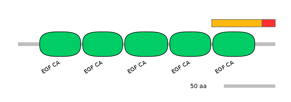 HsaEX0036953-INC