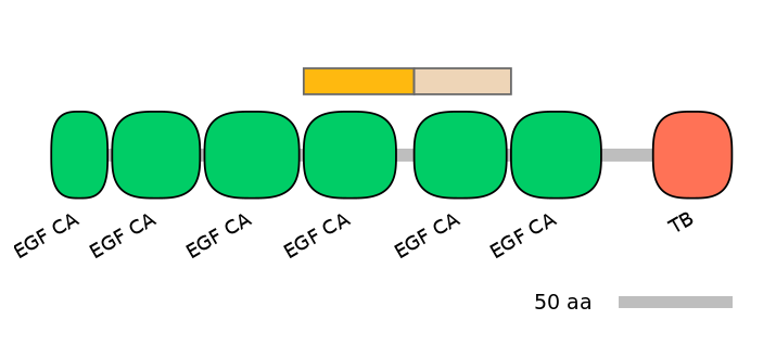 HsaEX0036955-EXC