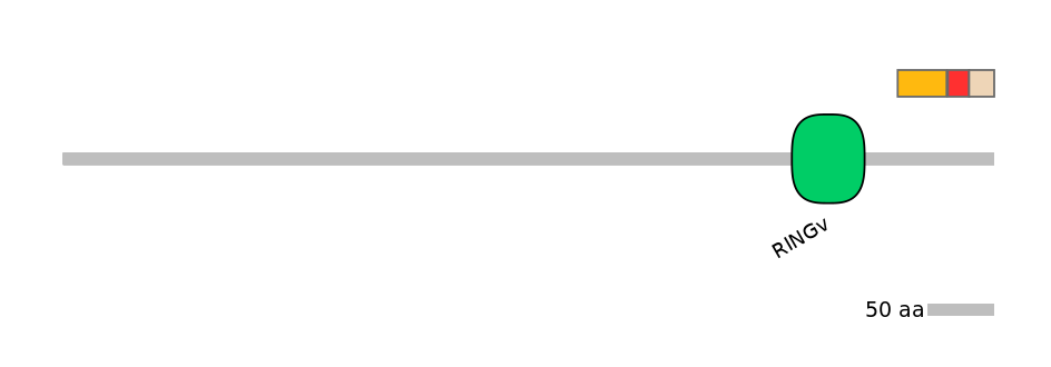 HsaEX0037886-INC