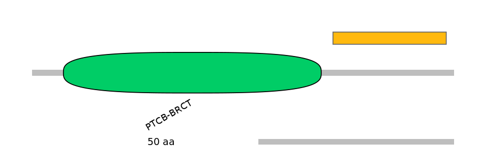 HsaEX0038313-EXC
