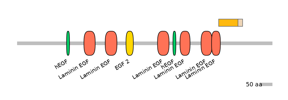 HsaEX0038733-EXC