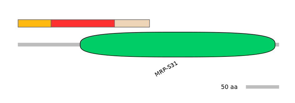 HsaEX0040198-INC