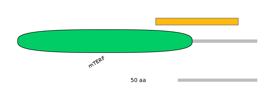 HsaEX0040444-EXC