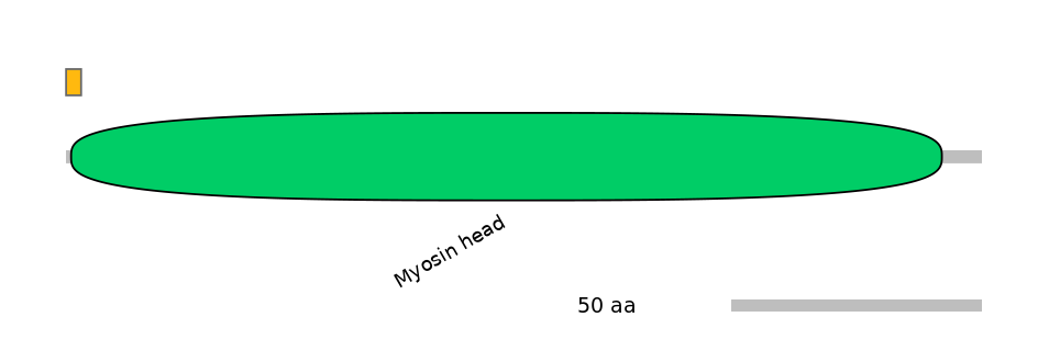 HsaEX0041087-EXC