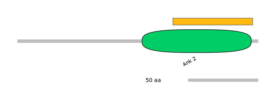 HsaEX0042151-EXC
