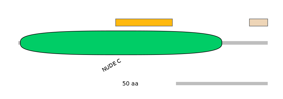 HsaEX0042204-EXC